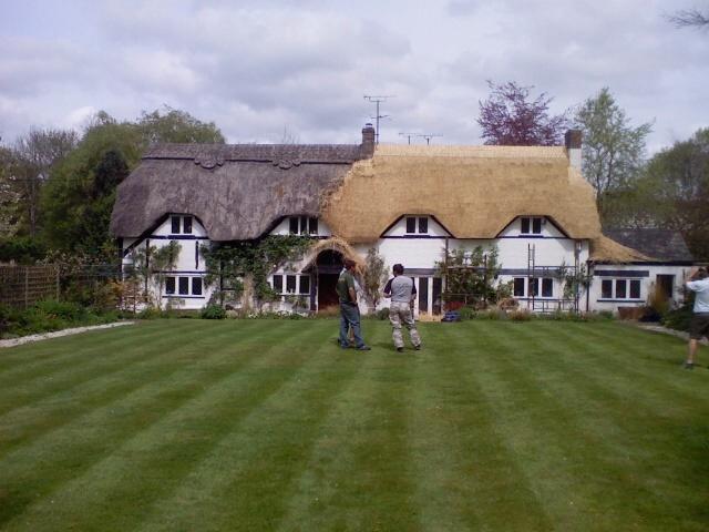 Thatch (Before)