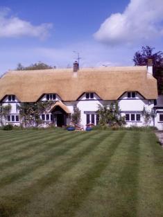 Thatch (After)